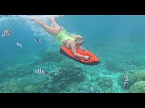 Temps pluvieux ... cela n'empêche pas de s'éclater sur et sous l'eau ...